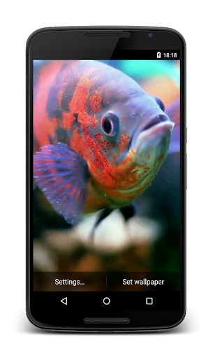 Android application Aquarium 3D Video Wallpaper screenshort