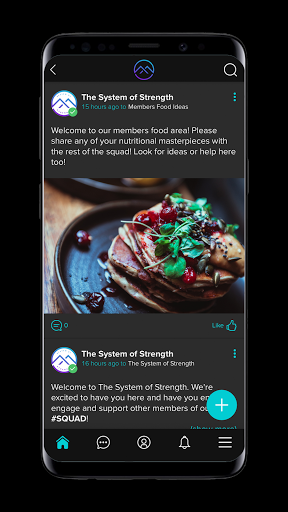 SoS The System of Strength