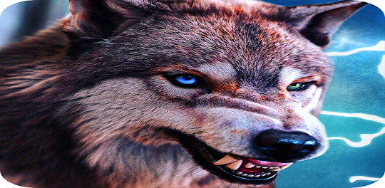 Wolf Kingdom Animal Games 3D