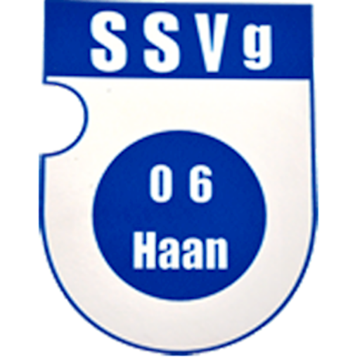SSVg 06 Haan logo