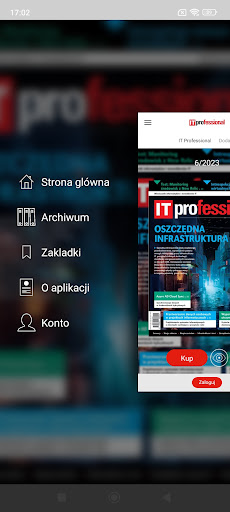 IT Professional Screen 3