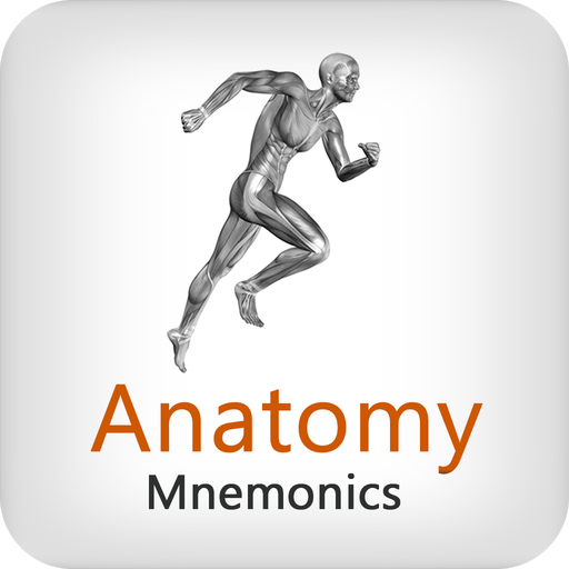 Anatomy Mnemonics 1.0 Icon