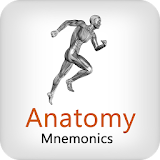 Anatomy Mnemonics icon