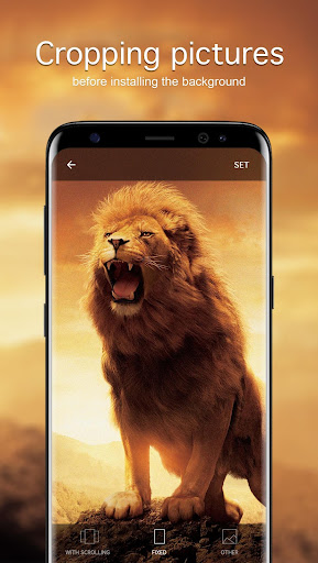 Lion Wallpapers PRO Screen 3