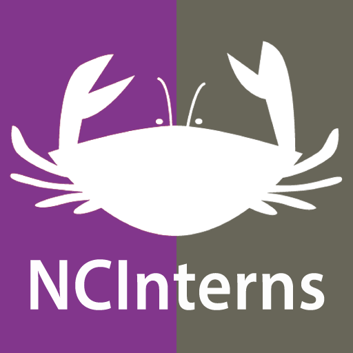 NCInterns 4.0.2 Icon