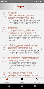 Bhagavad Gita Hindi-English