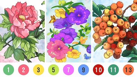 Coloring by number
