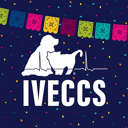 IVECCS 2022