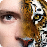 Face Morphing - Animal Faces icon