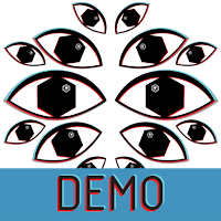 Symmetric Vision DEMO