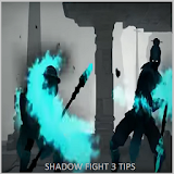 leguide 2 shadow fight 3 icon