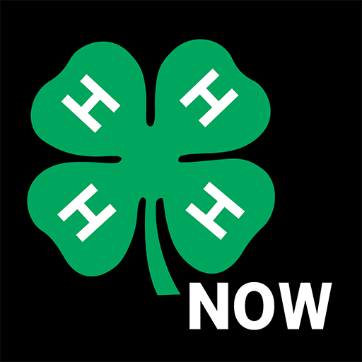 4-H Now - Find Events & 4-H Or 1.4.9 Icon