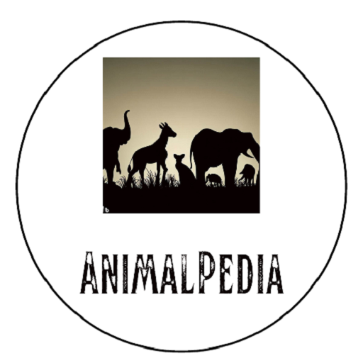 AnimalPedia
