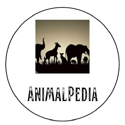 AnimalPedia logo