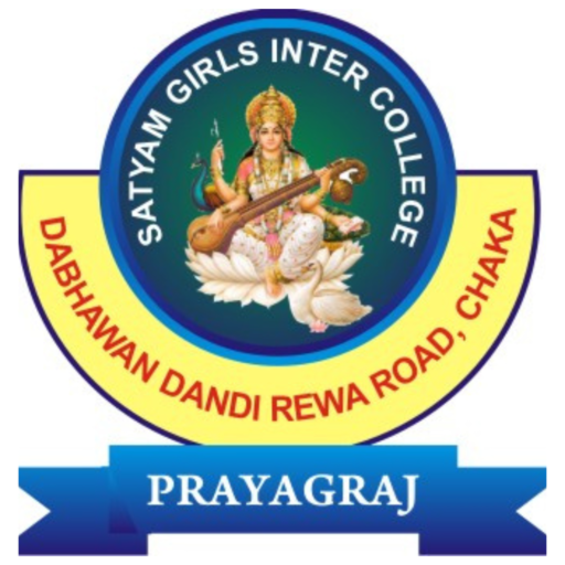 SATYAM GIRLS INTER COLLEGE logo