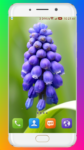 HNXdwkcBv YJ0qKU6cErHbAJDPRAELpZ 9NWjQ2IecQjVgrfBw goXhcujZgK5z5HbAe