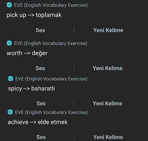 English Vocabulary Exercise Screen 3