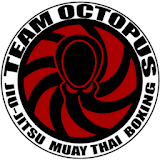 Team Octopus icon