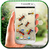 Ants in Mobile Prank icon