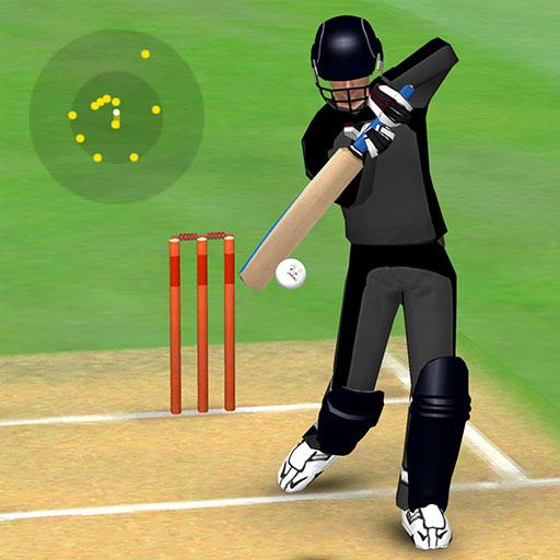 Smashing Cricket: cricket game 3.5.7 Icon