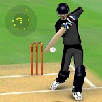 Cover Image of Download Smashing Cricket: cricket game  APK