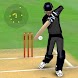 Smashing Cricket: cricket game