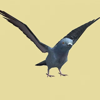 Pigeon Fly Animation Game apk