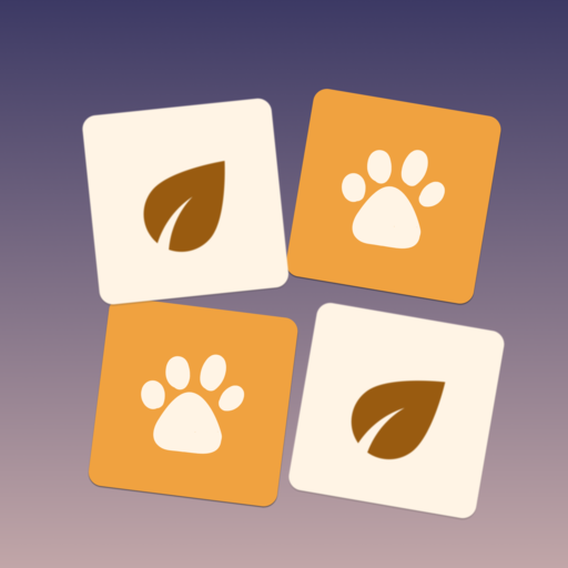Find Pair logo