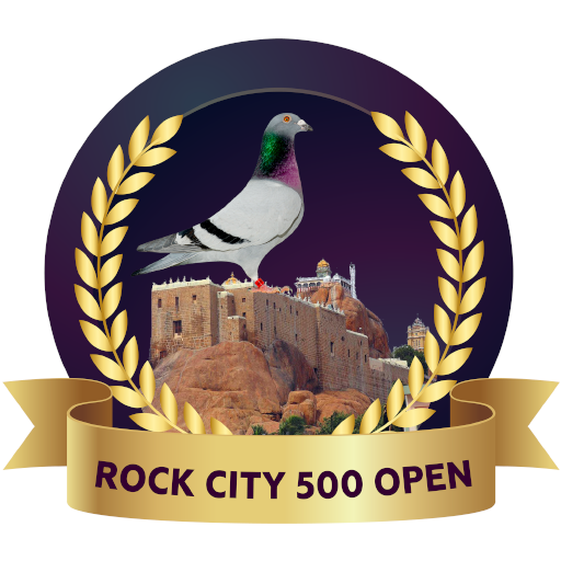 Rock City Open Zone-1 3.1.7 Icon