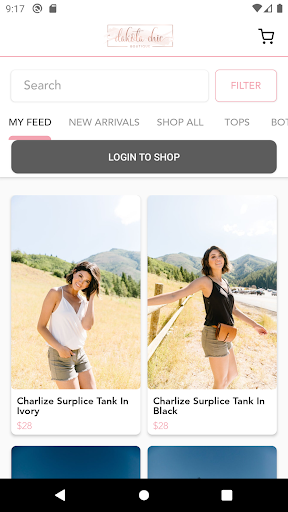 Screenshot of Dakota Chic Boutique