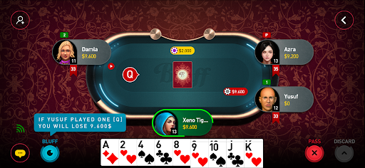 Bluff Game Screen 3