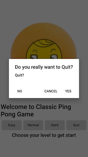 Classic Ping Pong