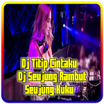 Cover Image of Download Dj Seujung Rambut Seujung Kuku  APK