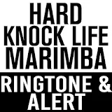 Hard Knock Life Marimba Tone icon