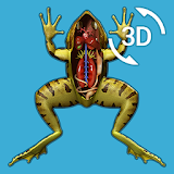 Visual Anatomy 3D - Frog icon