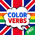 English Irregular Verbs PRO6.0.3 (Paid)