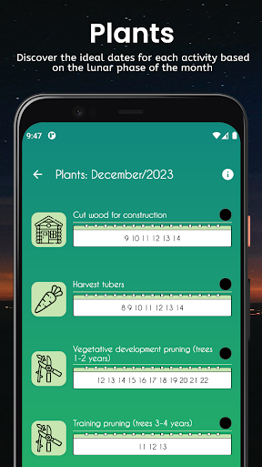 Lunar Phases: Discover Moon Screen 3