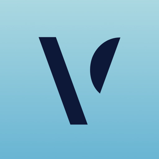 Valkiv logo