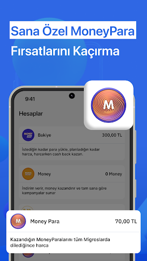 MoneyPay 3