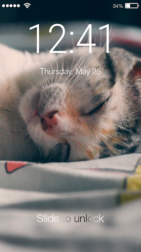 Cat Kitten Cute Animal Cats Pe Screenshot 1 - AppWisp.com