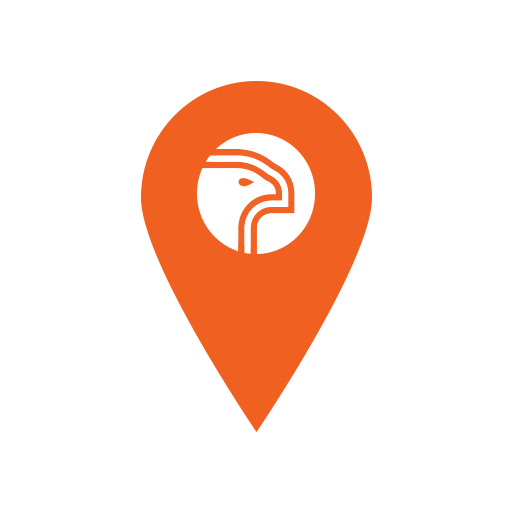 Falcon-i Spot logo
