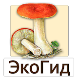 EcoGuide: Russian Fungi icon