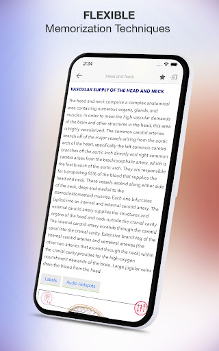 Screenshot of Rapid Review Anatomy Guide
