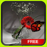 Butterfly Vase Live Wallpaper Theme icon