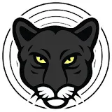 jaguarwebradio.com icon