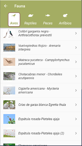 BioConApp