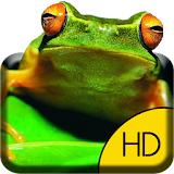 Wild Frog Live Wallpaper icon