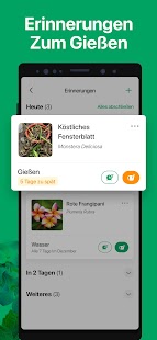 PictureThis Pflanzen bestimmen Screenshot