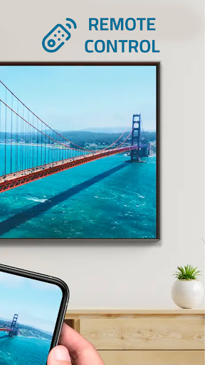 Cast To TV - Screen Mirroring Screen 3