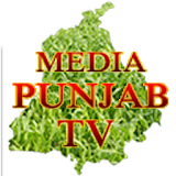 MediaPunjab news icon